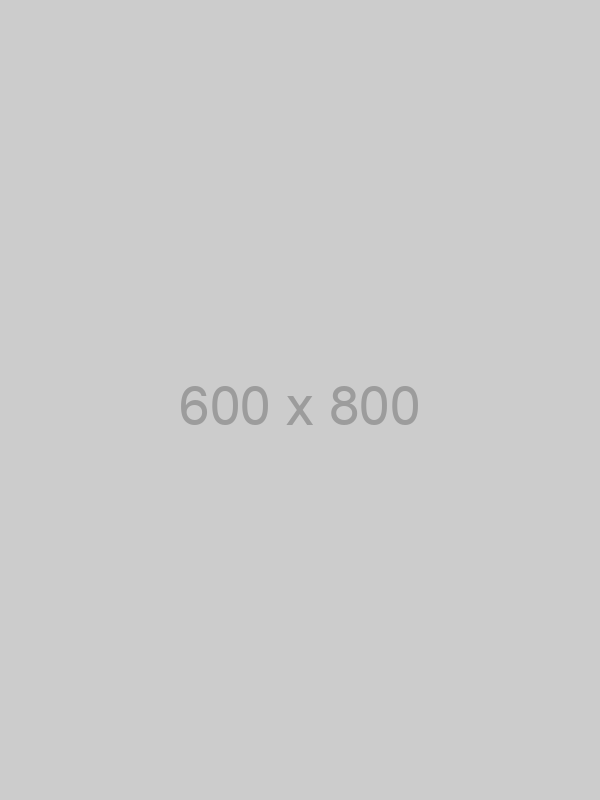 placeholder 600 x 800